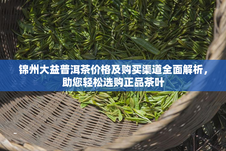 锦州大益普洱茶价格及购买渠道全面解析，助您轻松选购正品茶叶