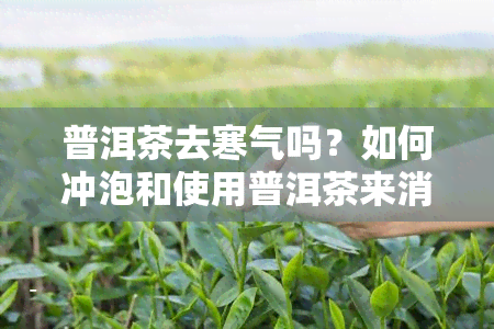 普洱茶去寒气吗？如何冲泡和使用普洱茶来消除寒气和湿气？