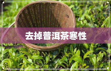 去掉普洱茶寒性