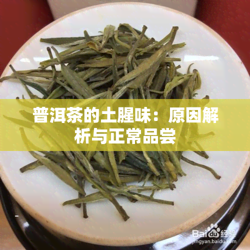 普洱茶的土腥味：原因解析与正常品尝