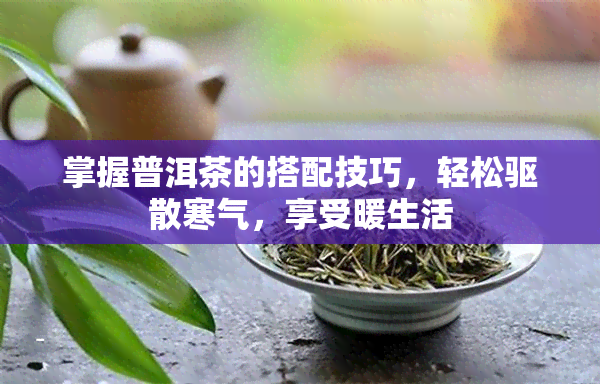 掌握普洱茶的搭配技巧，轻松驱散寒气，享受暖生活