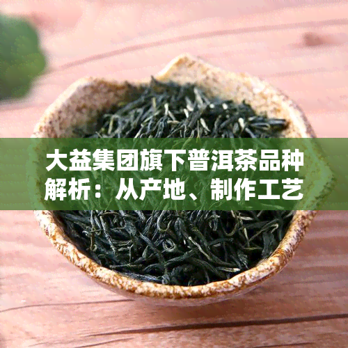 大益集团旗下普洱茶品种解析：从产地、制作工艺到品鉴技巧一网打尽