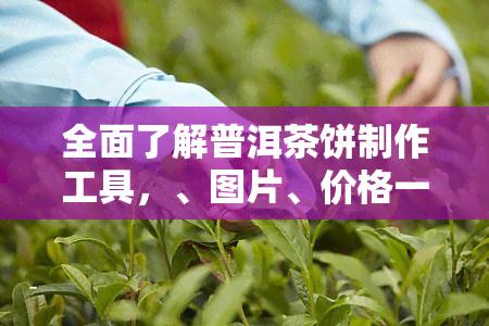 全面了解普洱茶饼制作工具，、图片、价格一网打尽！