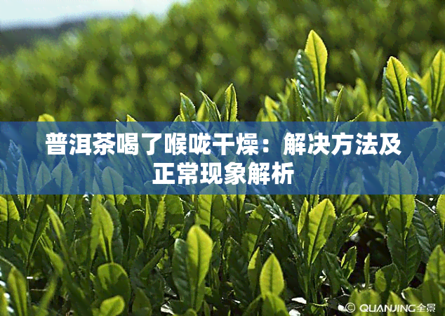 普洱茶喝了喉咙干燥：解决方法及正常现象解析