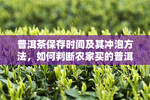 普洱茶保存时间及其冲泡方法，如何判断农家买的普洱茶是否过期？