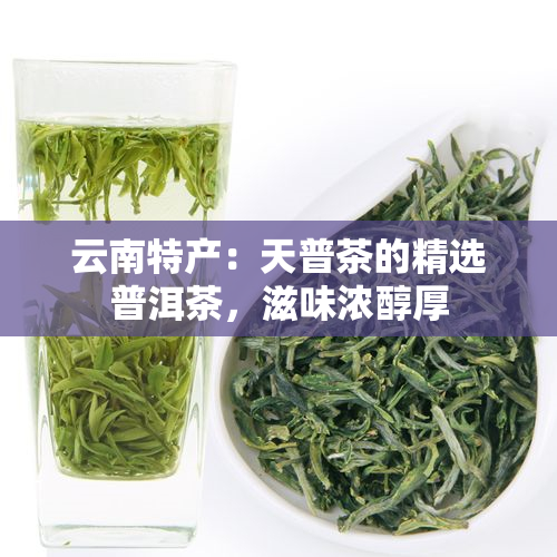 云南特产：天普茶的精选普洱茶，滋味浓醇厚