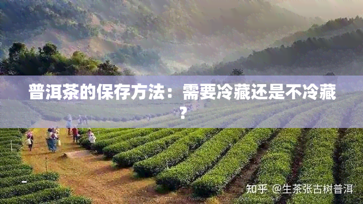 普洱茶的保存方法：需要冷藏还是不冷藏？