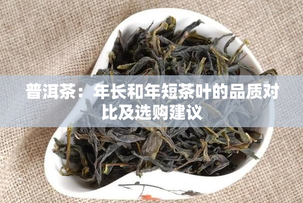 普洱茶：年长和年短茶叶的品质对比及选购建议