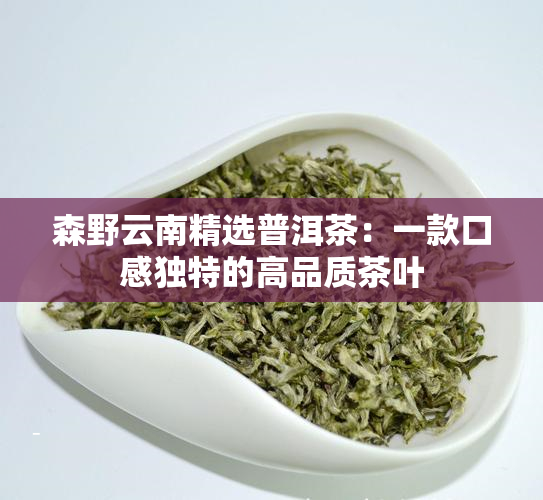 森野云南精选普洱茶：一款口感独特的高品质茶叶