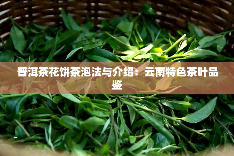 普洱茶花饼茶泡法与介绍：云南特色茶叶品鉴