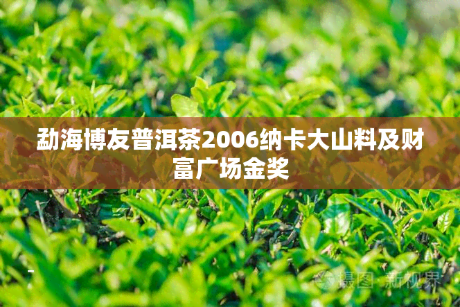 勐海博友普洱茶2006纳卡大山料及财富广场金奖