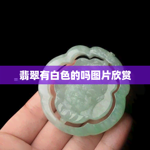 翡翠有白色的吗图片欣赏