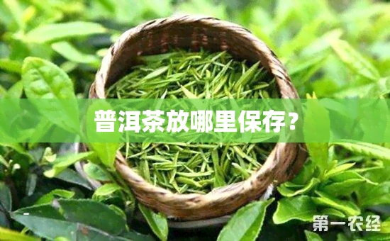 普洱茶放哪里保存？