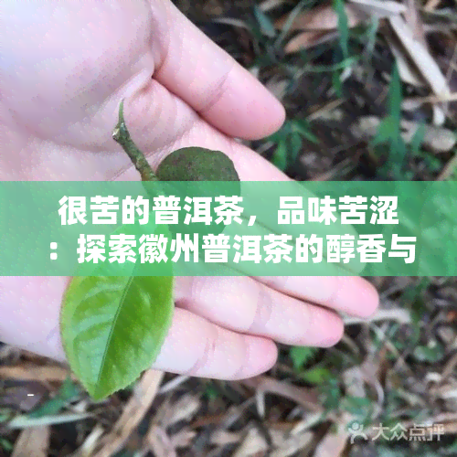 很苦的普洱茶，品味苦涩：探索徽州普洱茶的醇香与深邃