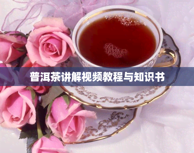 普洱茶讲解视频教程与知识书