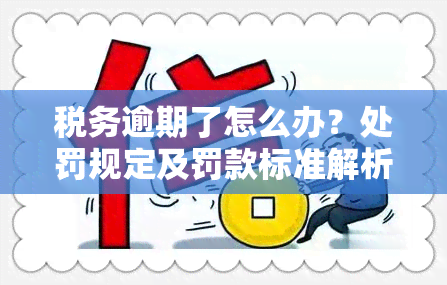 税务逾期了怎么办？处罚规定及罚款标准解析