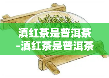 滇红茶是普洱茶-滇红茶是普洱茶吗?