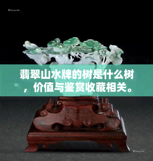 翡翠山水牌的树是什么树，价值与鉴赏收藏相关。