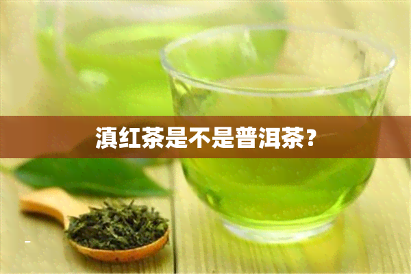 滇红茶是不是普洱茶？