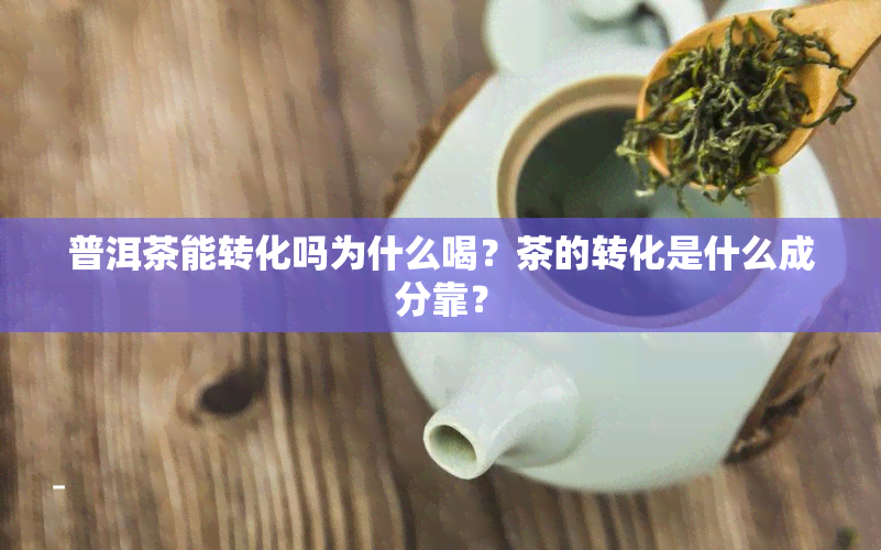 普洱茶能转化吗为什么喝？茶的转化是什么成分靠？