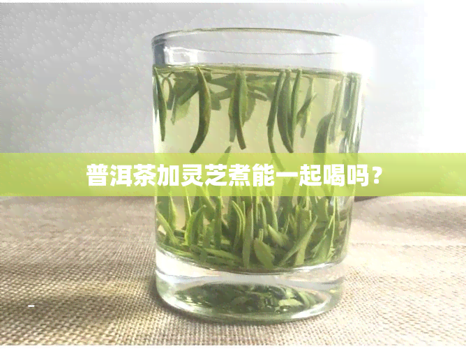 普洱茶加灵芝煮能一起喝吗？