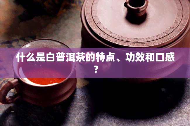 什么是白普洱茶的特点、功效和口感？