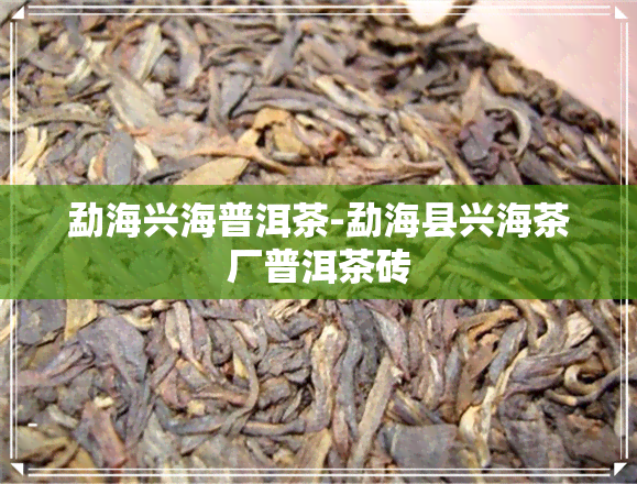 勐海兴海普洱茶-勐海县兴海茶厂普洱茶砖