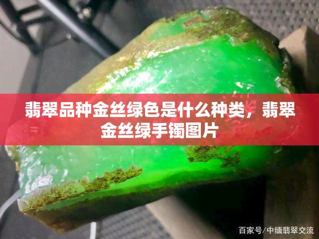 翡翠品种金丝绿色是什么种类，翡翠金丝绿手镯图片