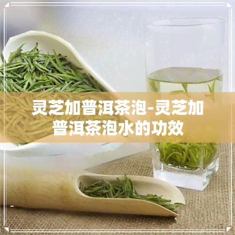 灵芝加普洱茶泡-灵芝加普洱茶泡水的功效