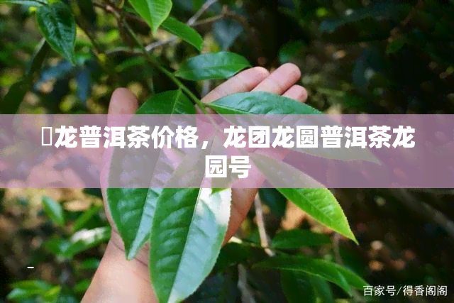 犇龙普洱茶价格，龙团龙圆普洱茶龙园号