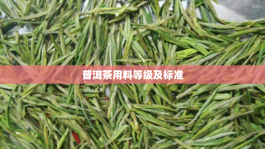 普洱茶用料等级及标准