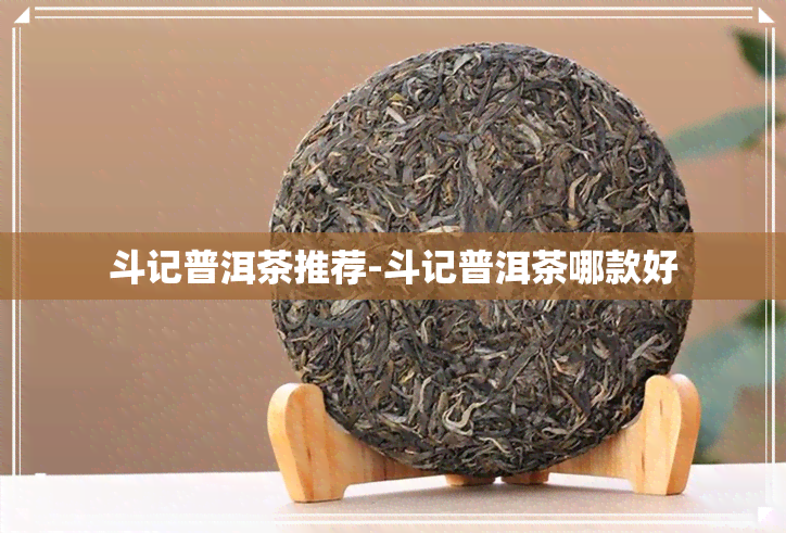 斗记普洱茶推荐-斗记普洱茶哪款好