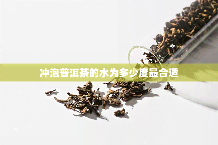 冲泡普洱茶的水为多少度最合适