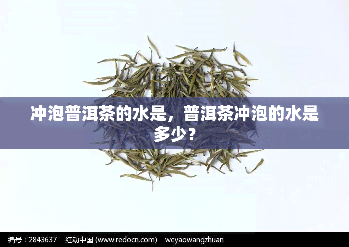 冲泡普洱茶的水是，普洱茶冲泡的水是多少？