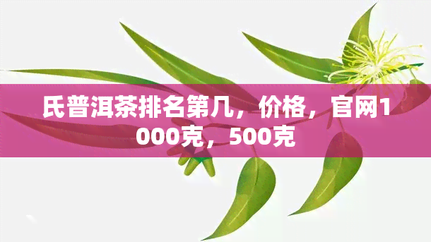 氏普洱茶排名第几，价格，官网1000克，500克