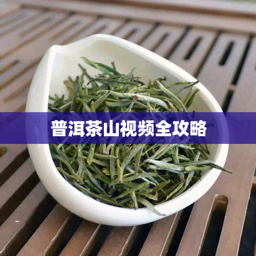 普洱茶山视频全攻略