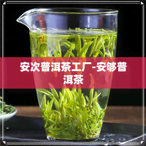 安次普洱茶工厂-安够普洱茶