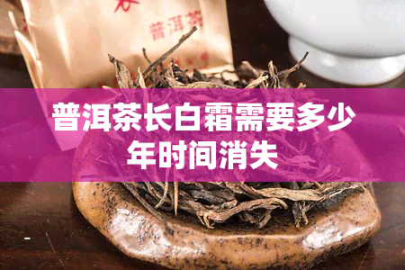 普洱茶长白霜需要多少年时间消失