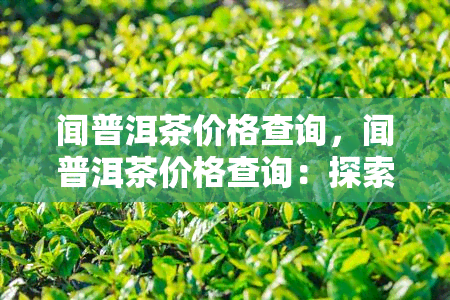 闻普洱茶价格查询，闻普洱茶价格查询：探索普洱茶市场的价格趋势与行情