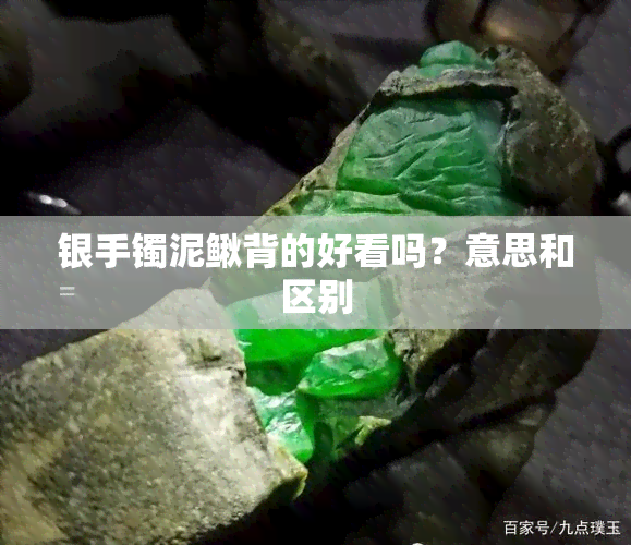 银手镯泥鳅背的好看吗？意思和区别