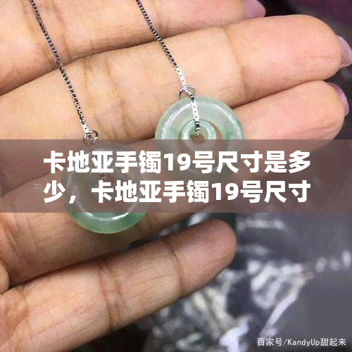 卡地亚手镯19号尺寸是多少，卡地亚手镯19号尺寸查询：精准解读您的尺寸需求