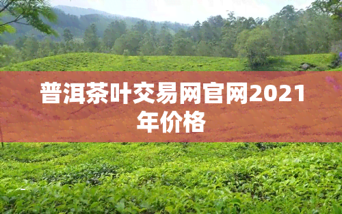 普洱茶叶交易网官网2021年价格