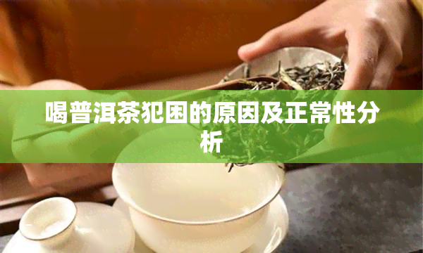 喝普洱茶犯困的原因及正常性分析