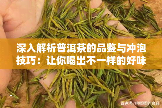 深入解析普洱茶的品鉴与冲泡技巧：让你喝出不一样的好味道