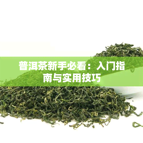 普洱茶新手必看：入门指南与实用技巧