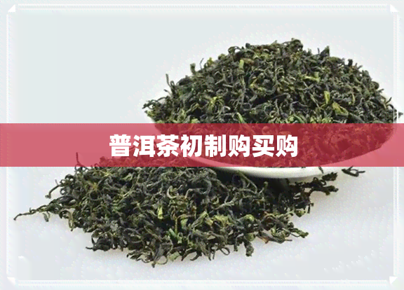 普洱茶初制购买购