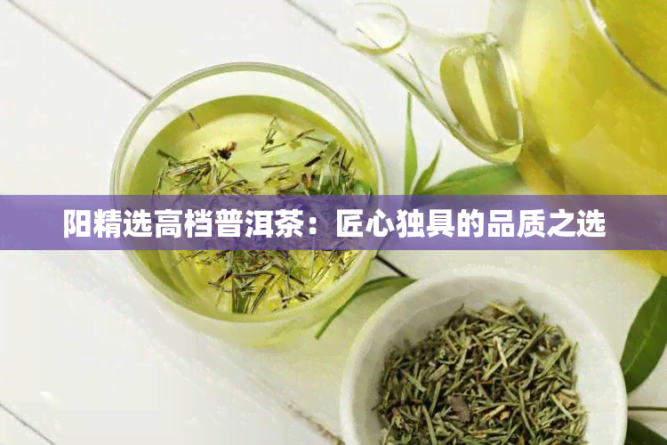 阳精选高档普洱茶：匠心独具的品质之选