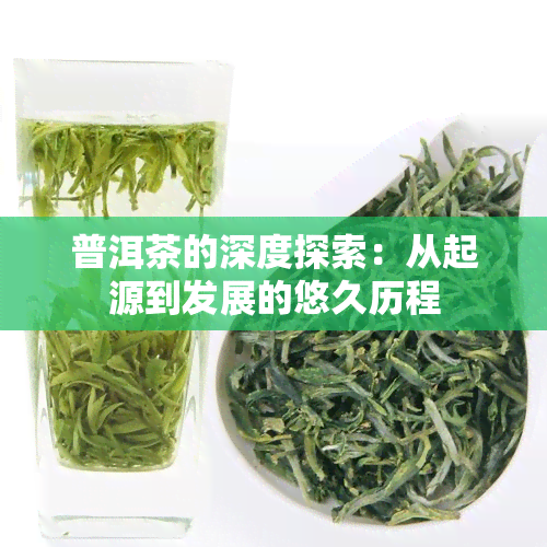 普洱茶的深度探索：从起源到发展的悠久历程