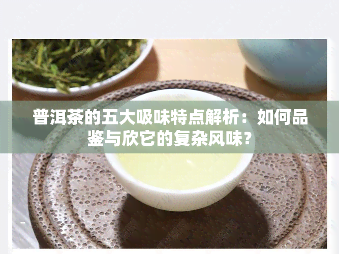 普洱茶的五大吸味特点解析：如何品鉴与欣它的复杂风味？