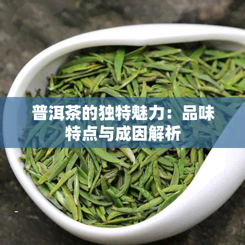 普洱茶的独特魅力：品味特点与成因解析